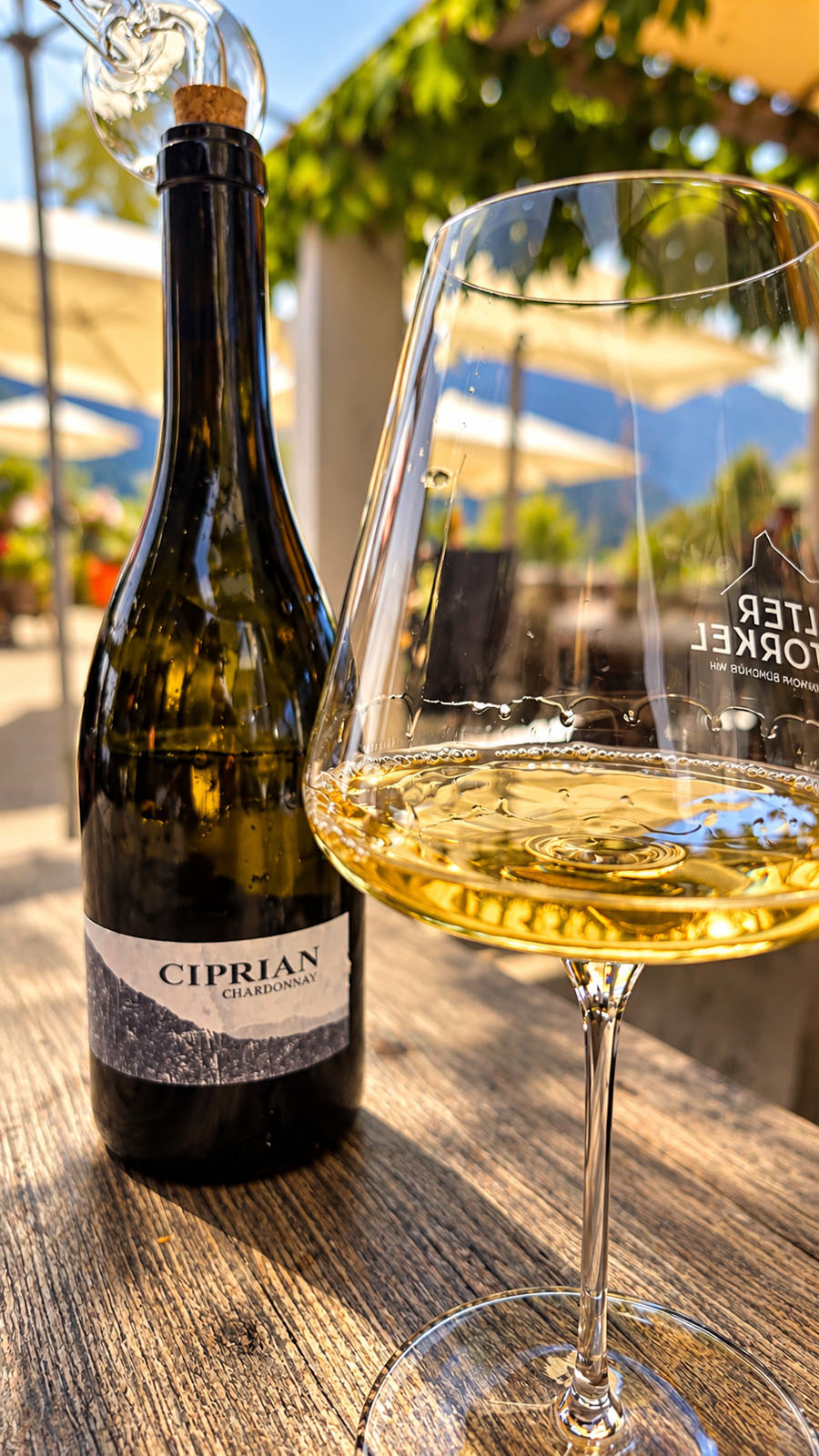 Ciprian Chardonnay at Alter Torkel in Jenins