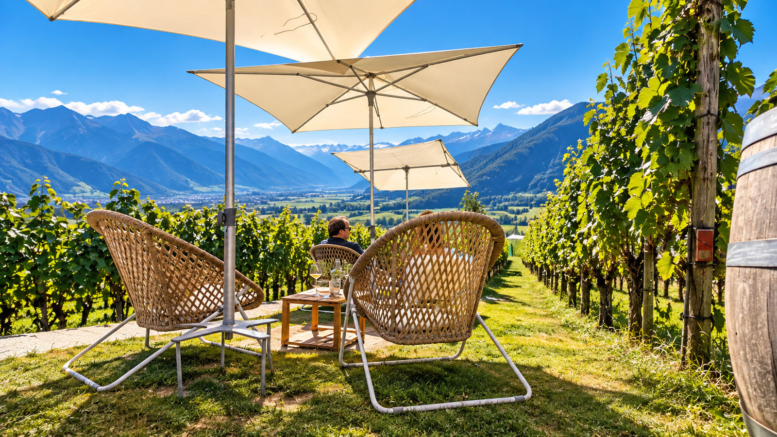 Sitting among the vineyards at Alter Torkel in Jenins