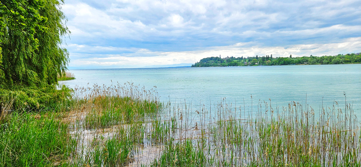 Summer gardens on Mainau Island at Lake Constance