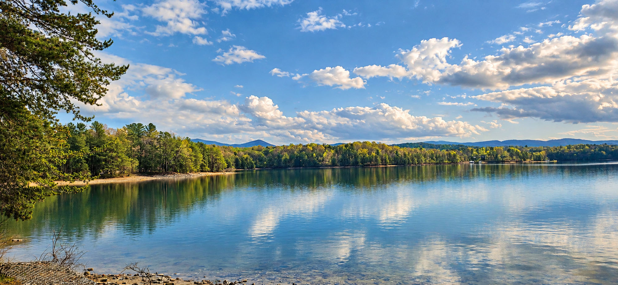 View-Topia · Blue Ridge, Georgia · April 2025